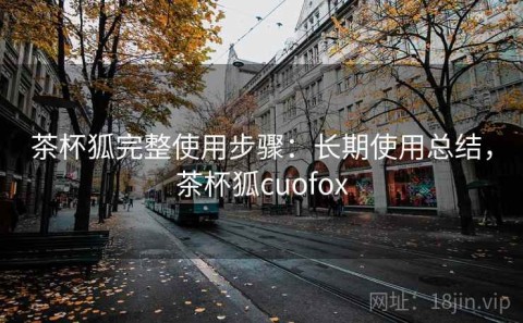茶杯狐完整使用步骤：长期使用总结，茶杯狐cuofox