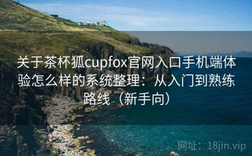 关于茶杯狐cupfox官网入口手机端体验怎么样的系统整理：从入门到熟练路线（新手向）