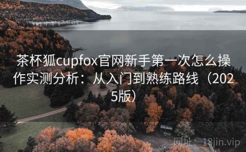 茶杯狐cupfox官网新手第一次怎么操作实测分析：从入门到熟练路线（2025版）