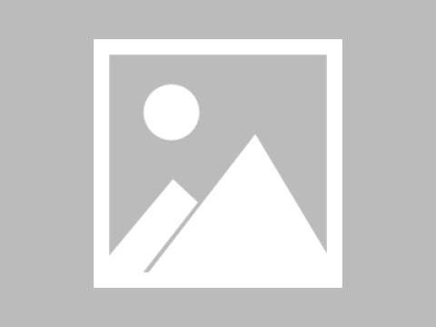 茶杯狐cupfox官网加载速度是否正常？用户体验反馈整理（搜索向），茶杯狐官方入口