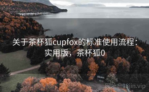 关于茶杯狐cupfox的标准使用流程：实用版，茶杯狐0