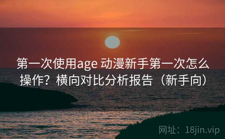 第一次使用age 动漫新手第一次怎么操作？横向对比分析报告（新手向）