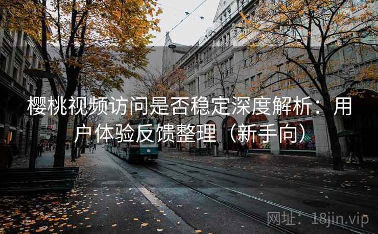 樱桃视频访问是否稳定深度解析：用户体验反馈整理（新手向）