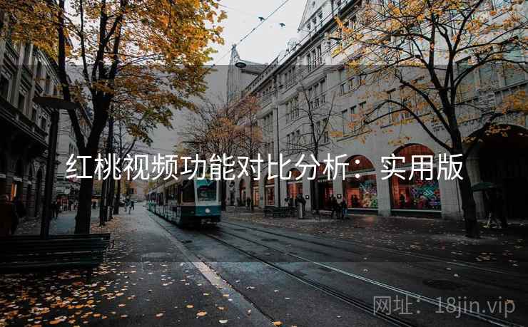红桃视频功能对比分析：实用版